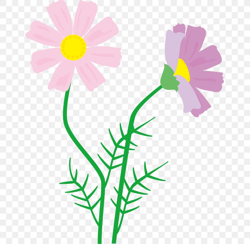 Clip Art Cut Flowers Illustration Floral Design, PNG, 653x800px, Flower, Botany, Chamomile, Chrysanthemum, Cosmos Download Free