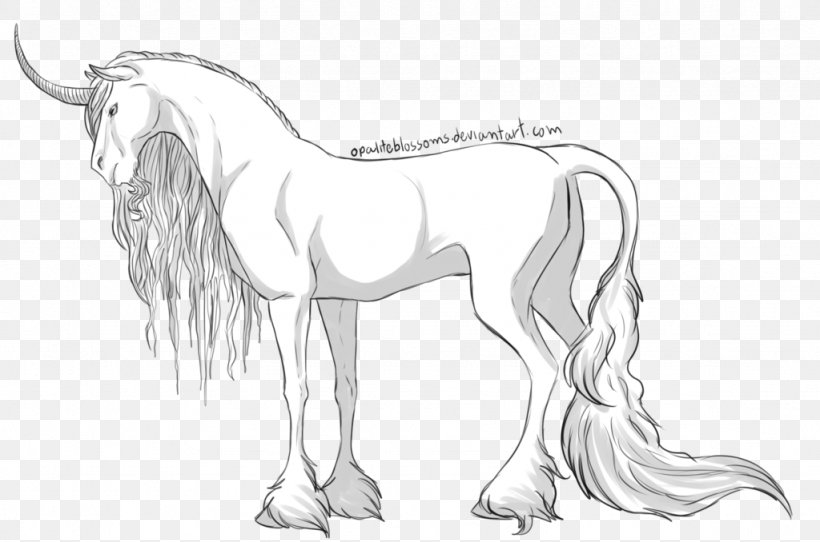 Mustang Pony Drawing Pack Animal Sketch, PNG, 1024x678px, Mustang, Animal, Animal Figure, Artwork, Black And White Download Free
