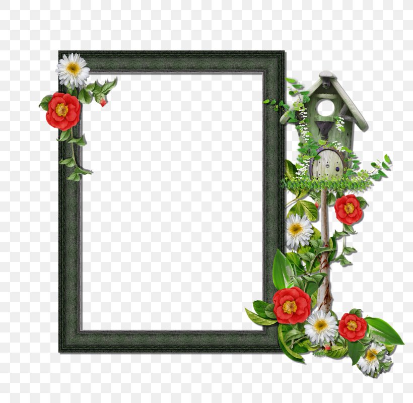Picture Frames Roisin O'Hagan Image Flower Portable Network Graphics, PNG, 800x800px, Picture Frames, Bordiura, Cut Flowers, Floral Design, Flower Download Free