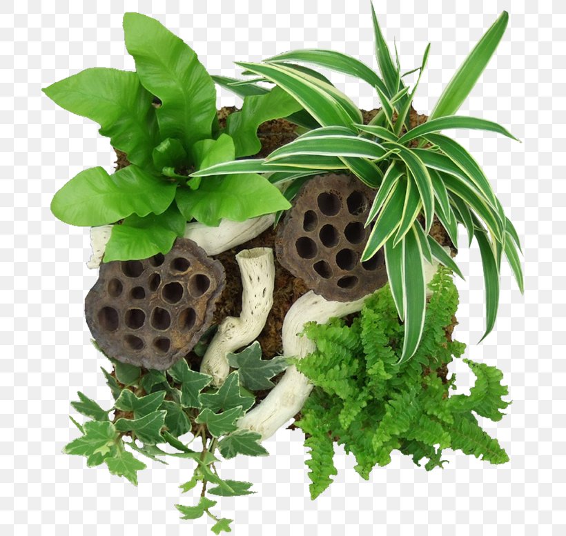 Plant Idea Flowerpot Tableau Software, PNG, 700x777px, Plant, Drawing, Flowerpot, Herb, Idea Download Free
