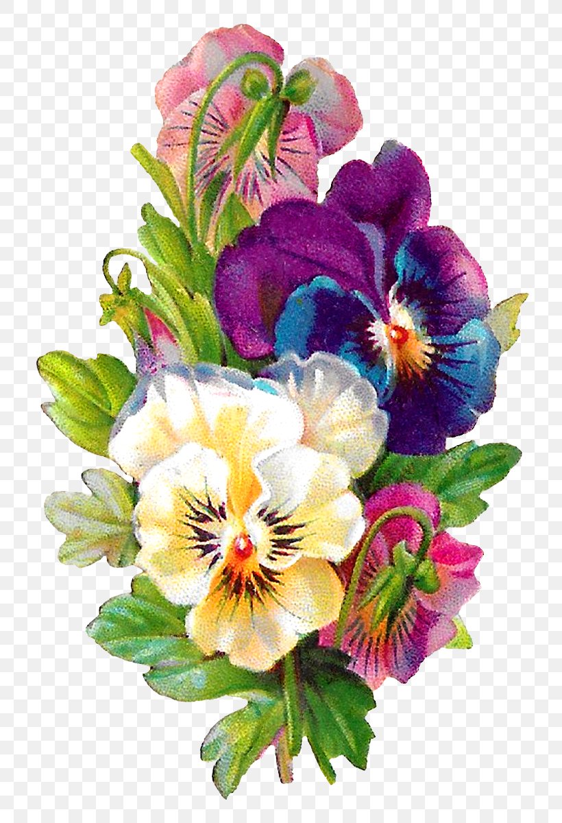 Clip Art Illustration Image Pansy, PNG, 768x1200px, Pansy, Anthurium, Art, Artificial Flower, Bouquet Download Free