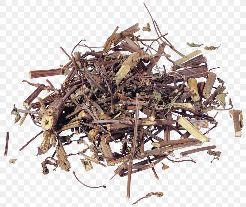Compendium Of Materia Medica Chinese Herbology Traditional Chinese Medicine Liu Wei Di Huang Wan Glycyrrhiza Uralensis, PNG, 4685x3956px, Compendium Of Materia Medica, Chinese Herbology, Chinese Patent Medicine, Crude Drug, Dianhong Download Free