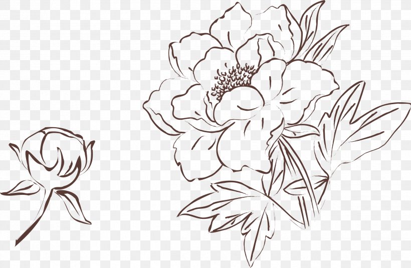 Moutan Peony Drawing Painting, PNG, 2497x1630px, Moutan Peony, Art, Artwork, Black, Black And White Download Free