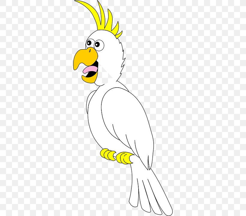 Bird True Parrot Cockatoo Amazon Parrot Rooster, PNG, 360x720px, Bird, Amazon Parrot, Animal, Area, Art Download Free
