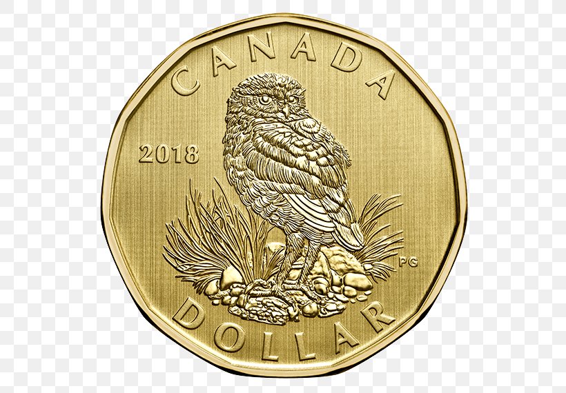 Coin Set Dollar Coin Gold Coin Royal Canadian Mint, PNG, 570x570px, Coin, Canadian Gold Maple Leaf, Coin Set, Commemorative Coin, Currency Download Free