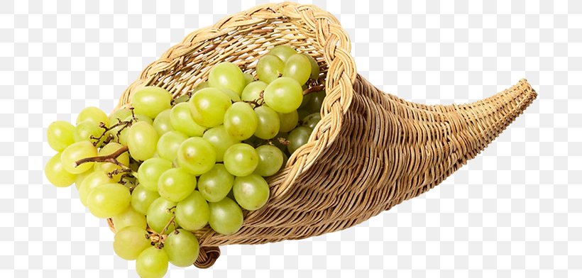 Common Grape Vine Sultana Online Chat Internet Forum, PNG, 698x392px, Grape, Actor, Common Grape Vine, Computer Program, Encyclopedia Download Free