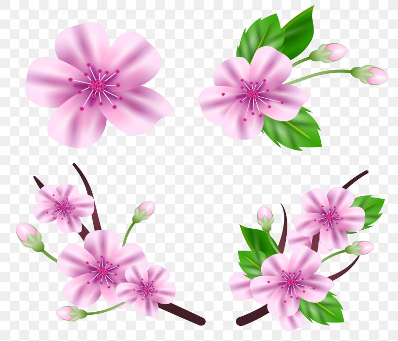 National Cherry Blossom Festival Floral Design, PNG, 2057x1761px, National Cherry Blossom Festival, Blossom, Cherry, Cherry Blossom, Flora Download Free