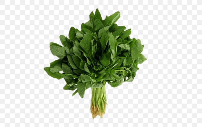 Organic Food Callaloo Vegetable Heirloom Plant Greens, PNG, 500x515px, Organic Food, Amaranth, Amaranth Grain, Amaranthus Tricolor, Amaranthus Viridis Download Free
