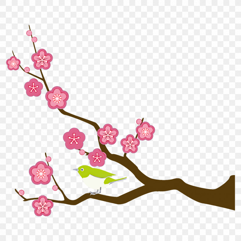 Plum Branch Plum Winter Flower, PNG, 1200x1200px, Plum Branch, Blossom, Branch, Bud, Cherry Blossom Download Free