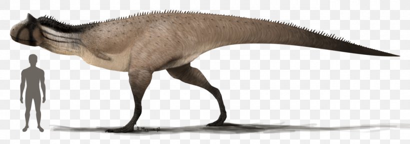 Carnotaurus Tyrannosaurus Allosaurus Dinosaur Dilophosaurus, PNG, 1280x452px, Carnotaurus, Abelisauridae, Allosaurus, Animal, Animal Figure Download Free