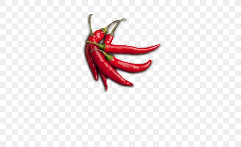 Chile De Xe1rbol Birds Eye Chili Cayenne Pepper Serrano Pepper Tabasco Pepper, PNG, 600x500px, Chile De Xe1rbol, Bell Peppers And Chili Peppers, Birds Eye Chili, Capsicum, Capsicum Annuum Download Free