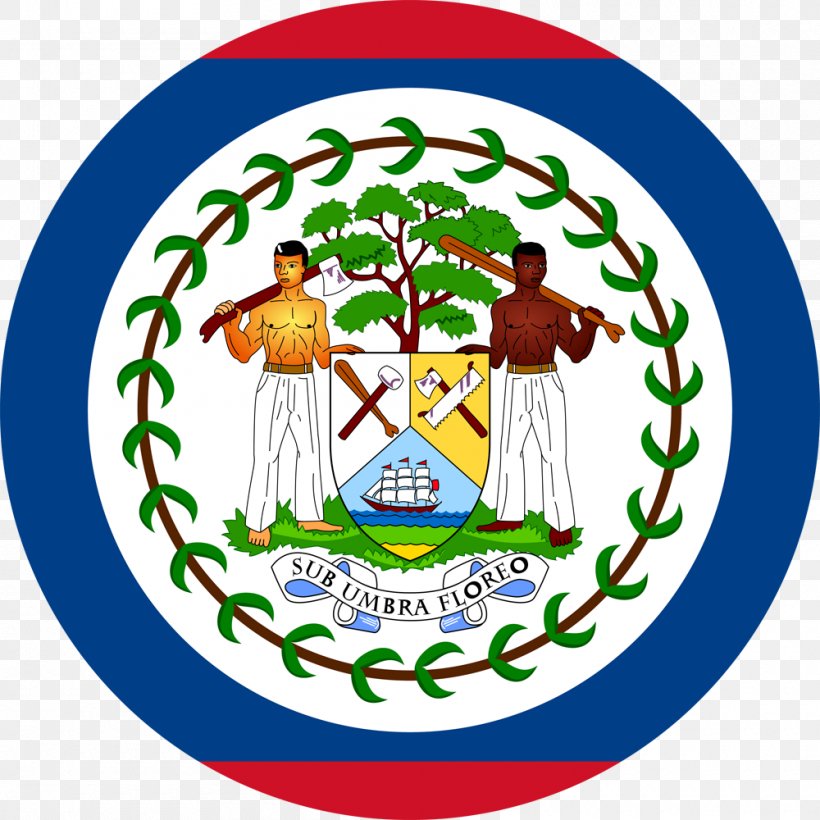 Flag Of Belize Flags Of The World Mile High Visas, PNG, 1000x1000px, Flag Of Belize, Area, Art, Artwork, Belize Download Free