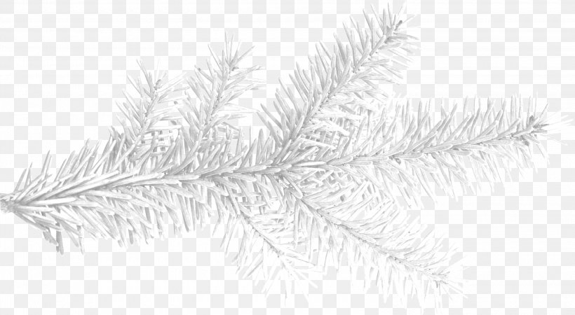 Icicle Animation, PNG, 3000x1648px, Icicle, Adobe Flash, Animation, Black And White, Blog Download Free