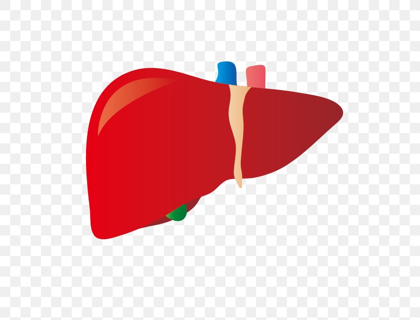 Liver Disease Dietary Supplement プレジデントオンライン Hepatitis B, PNG, 625x625px, Watercolor, Cartoon, Flower, Frame, Heart Download Free