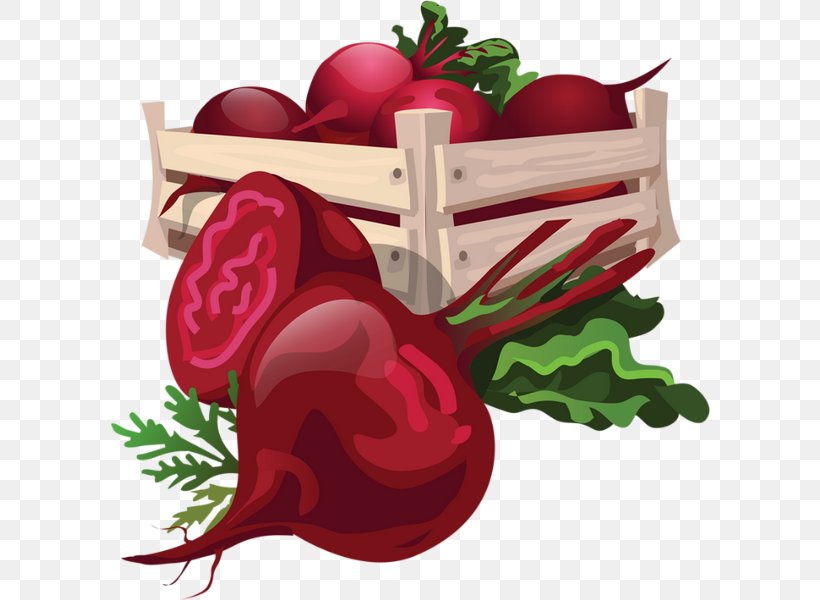 Vegetable Food Beetroot Clip Art, PNG, 600x600px, Watercolor, Cartoon, Flower, Frame, Heart Download Free