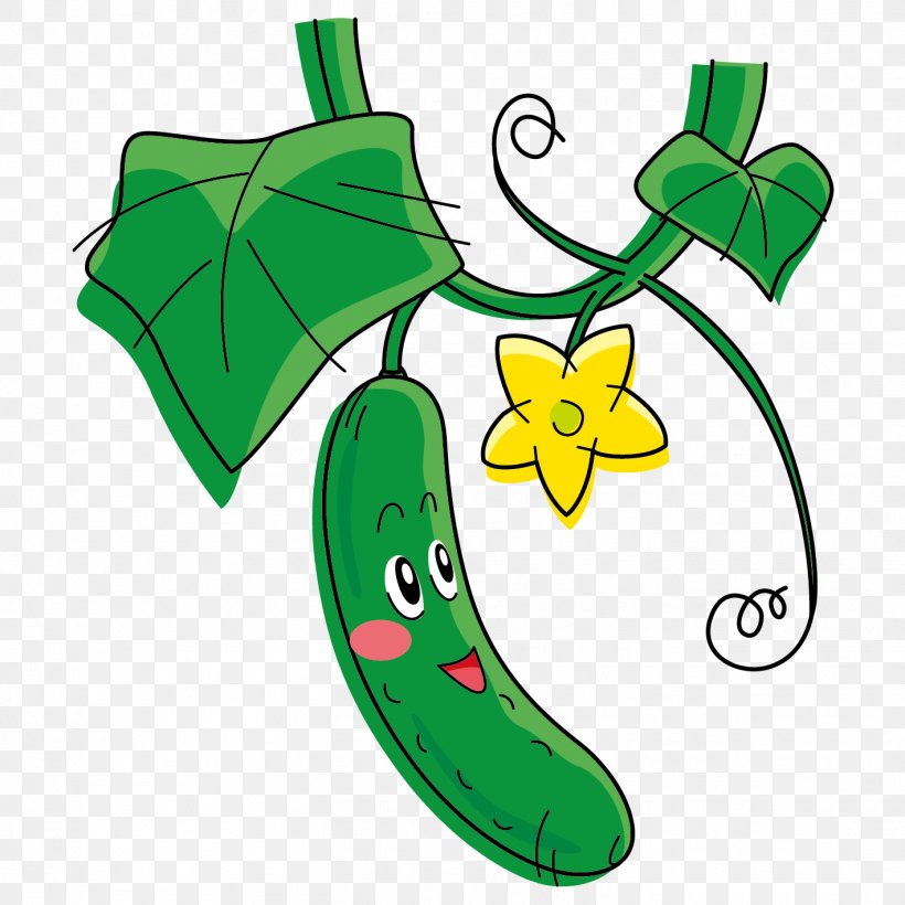 Cucumber Cartoon Vegetable Melon, PNG, 1418x1418px, Cucumber, Animation,  Area, Artwork, Cartoon Download Free