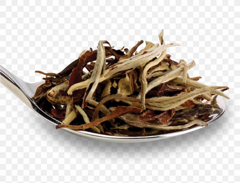 Golden Monkey Tea White Tea Nilgiri Tea Dianhong, PNG, 1960x1494px, Golden Monkey Tea, Assam Tea, Bai Mudan, Baihao Yinzhen, Bancha Download Free