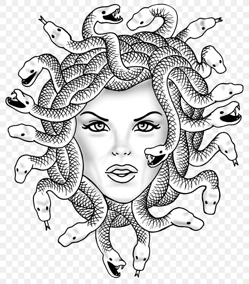 Medusa Gorgon Chthonic Coloring Book, PNG, 800x937px, Watercolor, Cartoon, Flower, Frame, Heart Download Free