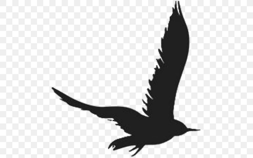Starling Estate Bird Eagle Beak Goose, PNG, 512x512px, Bird, Anatidae, Beak, Bird Of Prey, Black And White Download Free