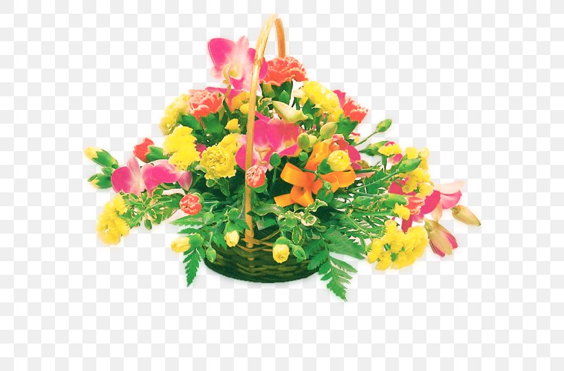Taishan Flower Birthday Qihai, PNG, 640x540px, Taishan, Basket, Birthday, China, Cut Flowers Download Free