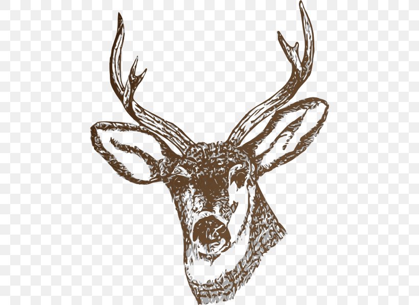 White-tailed Deer Reindeer Clip Art, PNG, 468x598px, Deer, Antler, Deer Hunting, Horn, Hunting Download Free