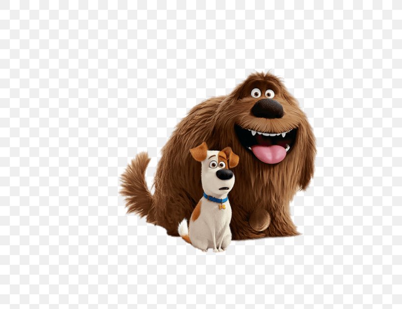 Dog Duke Max PetSmart, PNG, 630x630px, Dog, Birthday, Carnivoran, Companion Dog, Dog Breed Download Free