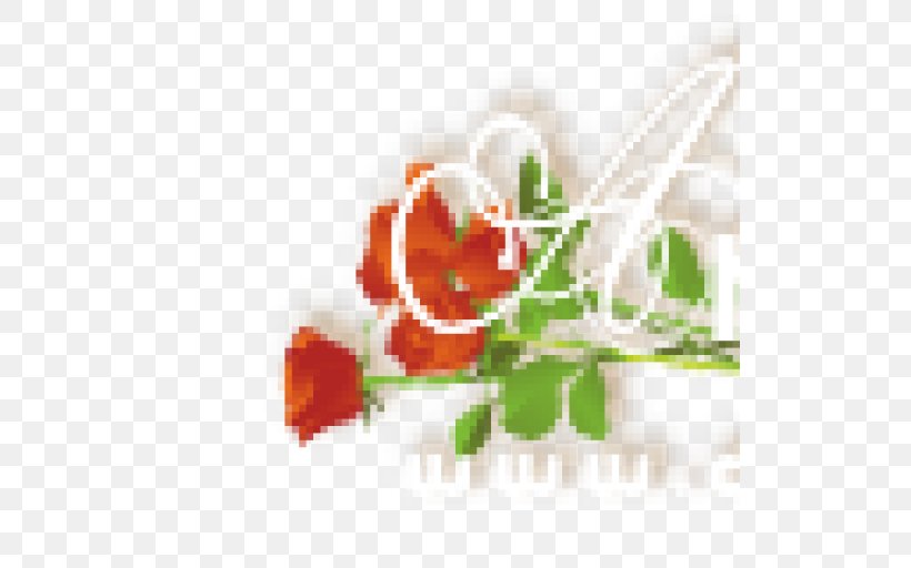 Flower Garden Roses Floral Design Rosaceae, PNG, 512x512px, Flower, Computer, Floral Design, Flowering Plant, Fruit Download Free