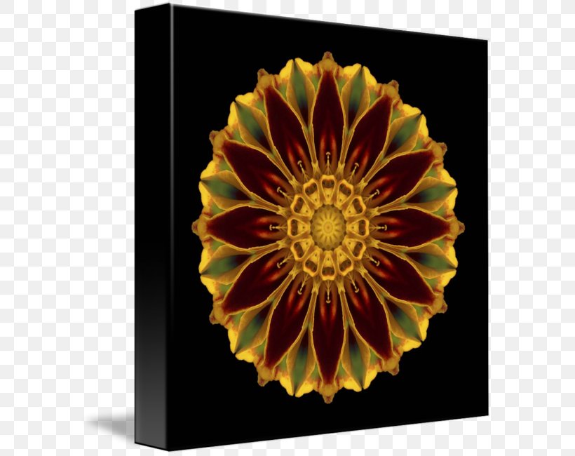 Marigold Flower Mandala Window Imagekind, PNG, 589x650px, Marigold, Art, Douchegordijn, Floral Design, Flower Download Free