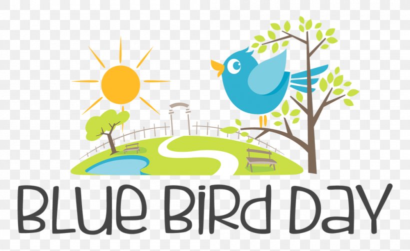 Blue Bird Day Full-Time School Pre-school Kindergarten, PNG, 1000x614px, Blue Bird Day, Area, Artwork, Beak, Bird Download Free