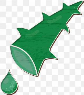Botanicals Icon Leaf Icon Aloe Icon PNG