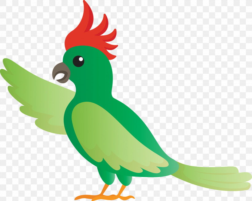 Rooster Parrots Macaw Chicken Beak, PNG, 3000x2395px, Bird Cartoon, Animal Figurine, Beak, Biology, Birds Download Free