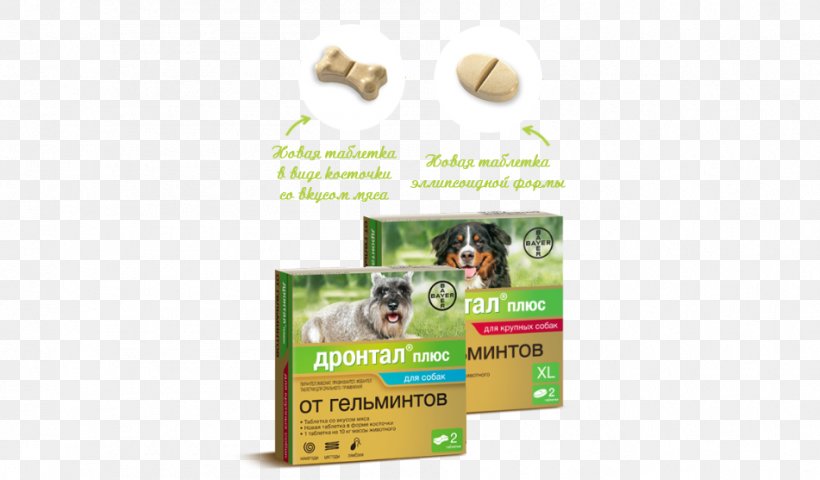 Dog Pharmaceutical Drug Bayer Tablet Disease, PNG, 951x557px, Dog, Advertising, Bayer, Bayer Healthcare, Brand Download Free