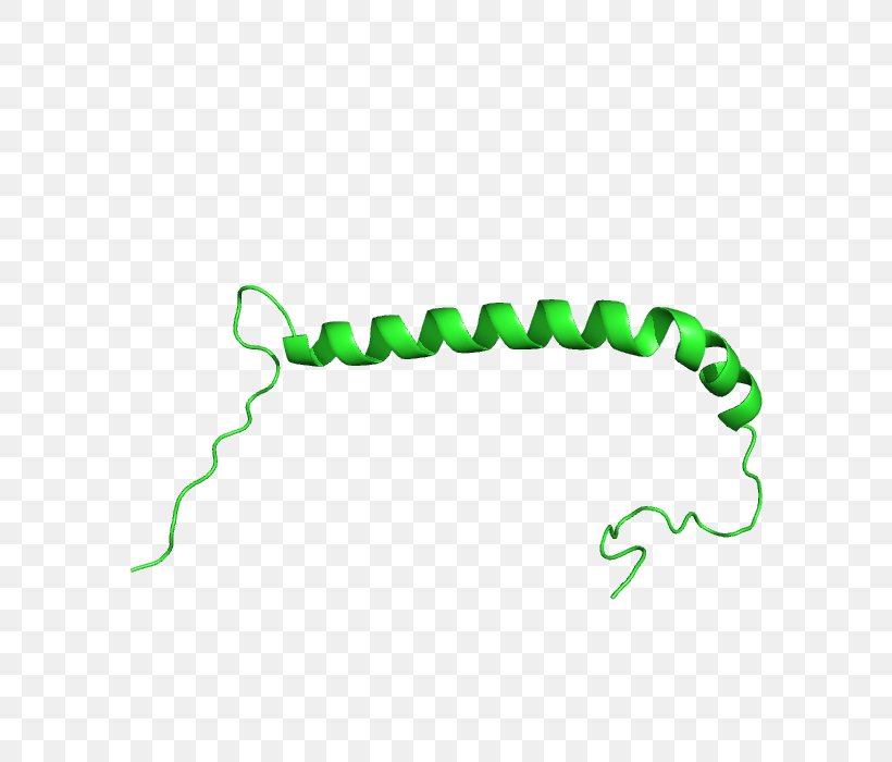 Line Clip Art, PNG, 700x700px, Organism, Area, Green, Text Download Free