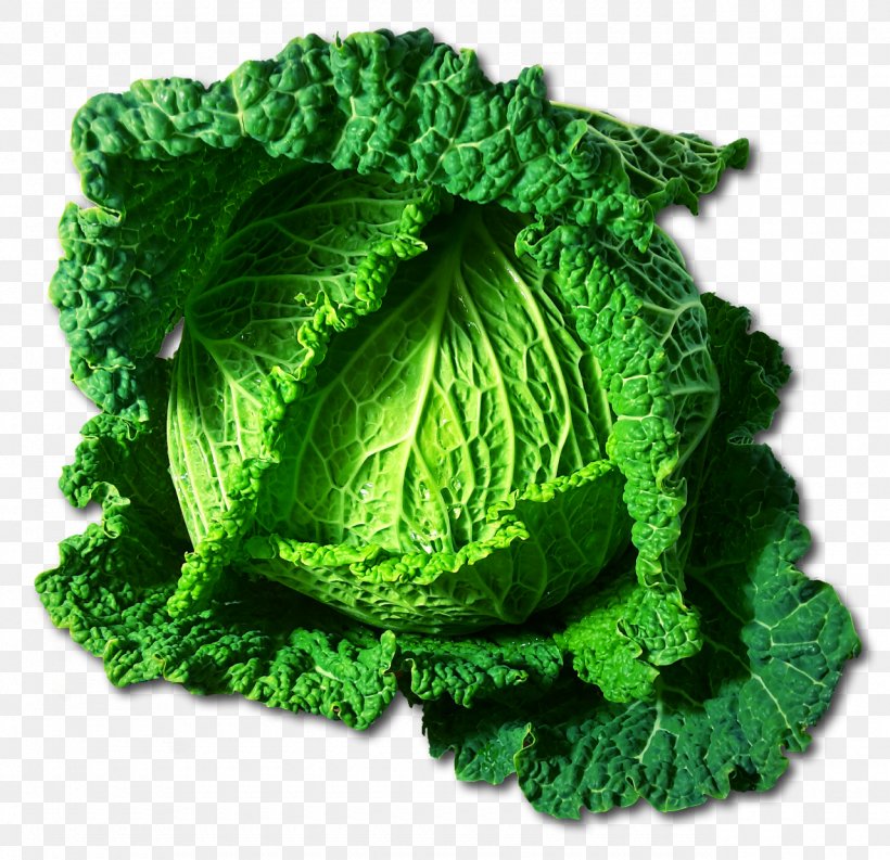 Savoy Cabbage Cauliflower Brussels Sprout Broccoli, PNG, 1280x1238px, Cabbage, Brassica, Brassica Oleracea, Broccoli, Brussels Sprout Download Free