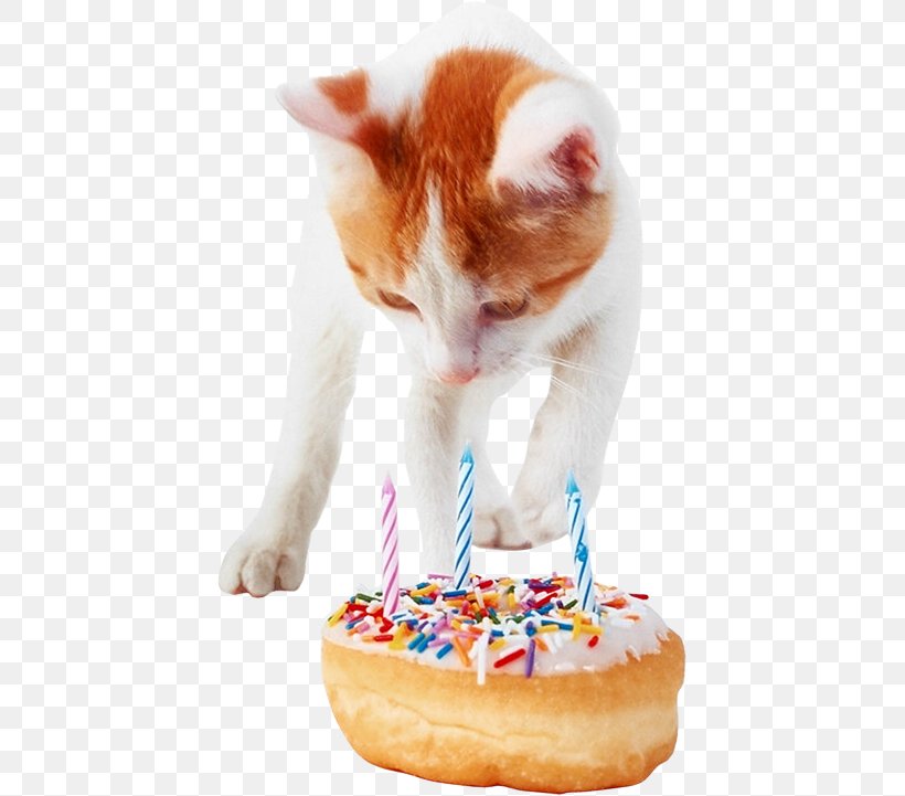 Birthday Cake Cat Whiskers Kitten, PNG, 425x721px, Birthday Cake, Animal, Birthday, Cake, Carnivoran Download Free