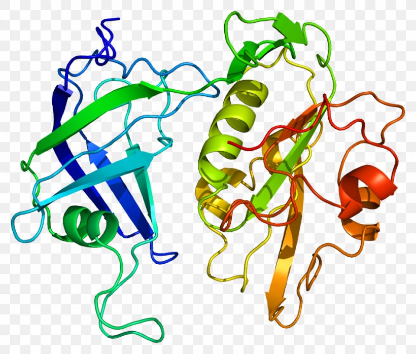 CYB5R3 Cytochrome B5 Reductase Gene, PNG, 948x808px, Watercolor, Cartoon, Flower, Frame, Heart Download Free