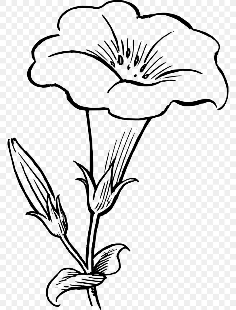 Drawing Flower Black And White Clip Art, PNG, 768x1075px, Drawing, Artwork, Black And White, Cut Flowers, Flora Download Free