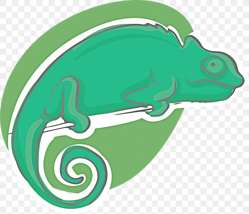 Fish Reptiles Green Line Biology, PNG, 3000x2578px, Fish, Biology, Green, Line, Reptiles Download Free