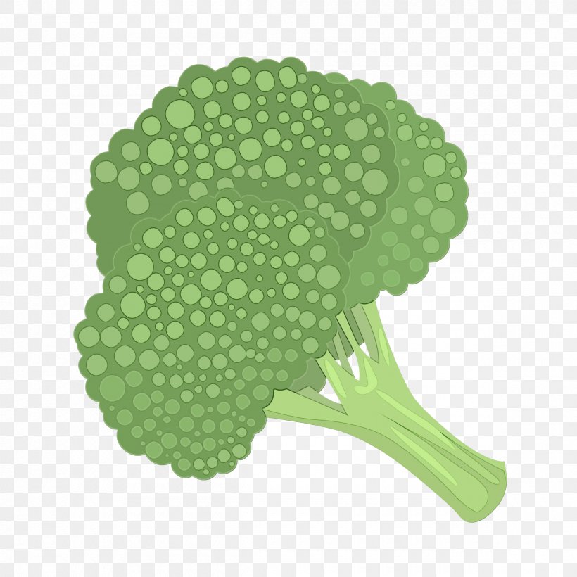 Green Broccoli Cruciferous Vegetables Leaf Vegetable Leaf, PNG, 2400x2400px, Watercolor, Broccoli, Cruciferous Vegetables, Green, Leaf Download Free