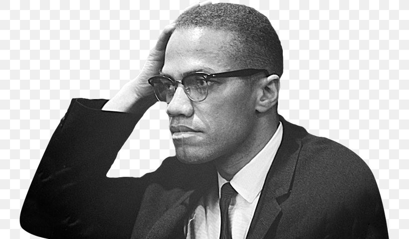 Malcolm X African-American Civil Rights Movement Audubon Ballroom African American United States, PNG, 742x480px, Malcolm X, African American, Africanamerican History, Audio Equipment, Black And White Download Free