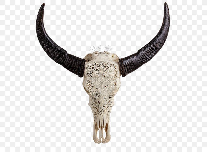 Cattle Horn Human Skull Symbolism Animal Skulls, PNG, 600x600px, Cattle, African Buffalo, Animal, Animal Skulls, Bull Download Free