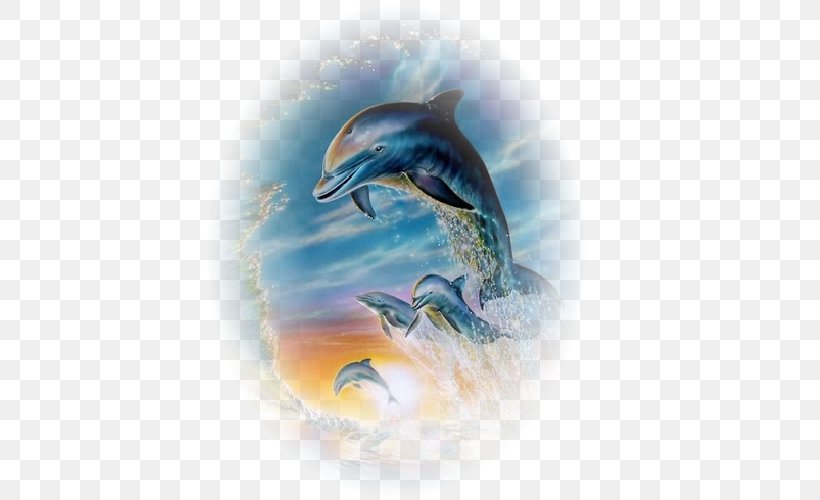Common Bottlenose Dolphin Short-beaked Common Dolphin Wholphin Dolphins/Delfines, PNG, 500x500px, Common Bottlenose Dolphin, Art, Cetacea, Dolphin, Fauna Download Free