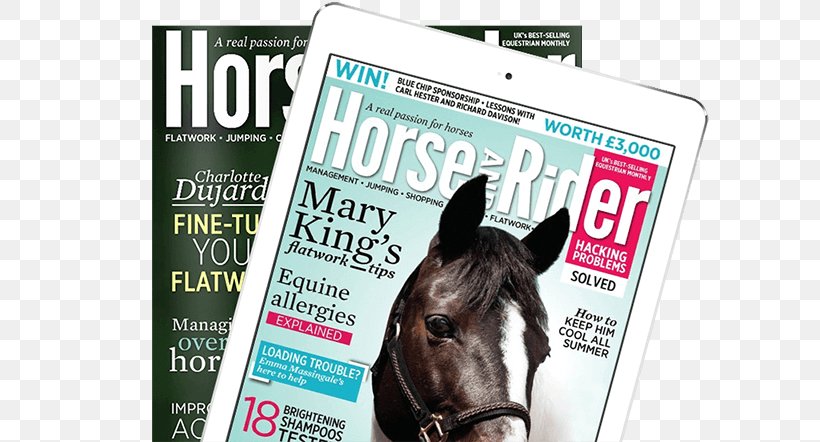 Horse Advertising Brand Magazine Font, PNG, 600x442px, Horse, Advertising, Brand, Horse Like Mammal, Magazine Download Free