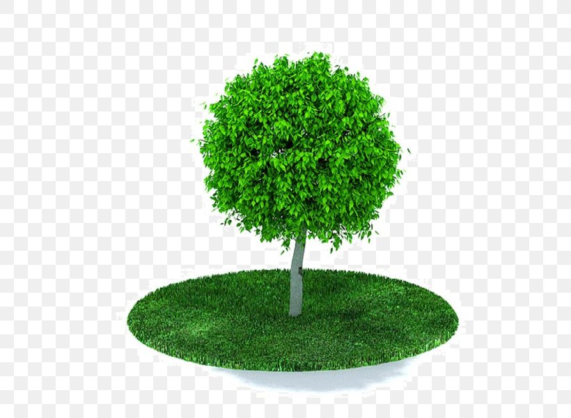 Tree Wavefront .obj File AutoCAD DXF Clip Art, PNG, 578x600px, 3d Computer Graphics, Tree, Arbor Day, Autocad Dxf, Computer Animation Download Free