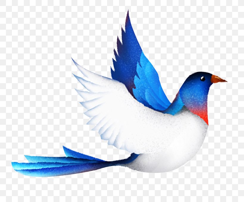 Bird Flight Google Images, PNG, 794x680px, Bird, Art, Beak, Bluebird, Feather Download Free