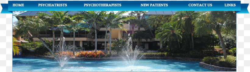 Boca Raton Psychiatric Group Psychiatrist Psychiatry Mental Health Professional, PNG, 1049x306px, Boca Raton, Area, Biome, Condominium, Ecosystem Download Free