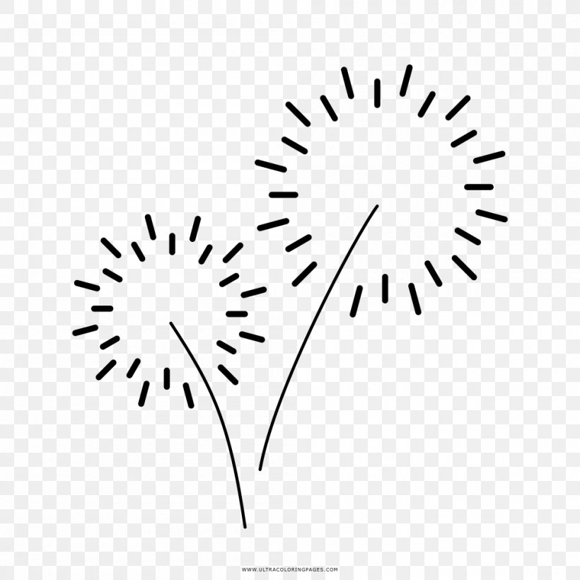 Drawing Fireworks Black And White, PNG, 1000x1000px, Drawing, Area, Black, Black And White, Branch Download Free