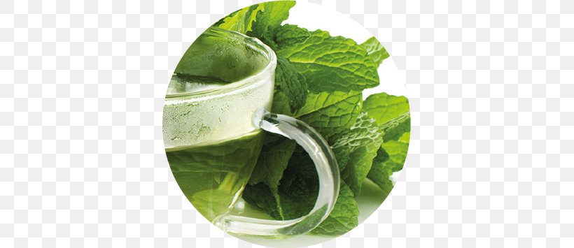 Mojito Spring Greens Mint Julep Herb Romaine Lettuce, PNG, 709x355px, Mojito, Drink, Glass, Herb, Herbalism Download Free