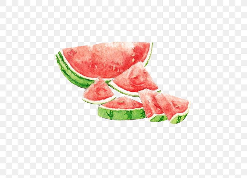 Watermelon Watercolor Painting Drawing Seedless Fruit, PNG, 479x590px, Watermelon, Art Museum, Artist Trading Cards, Citrullus, Colored Pencil Download Free