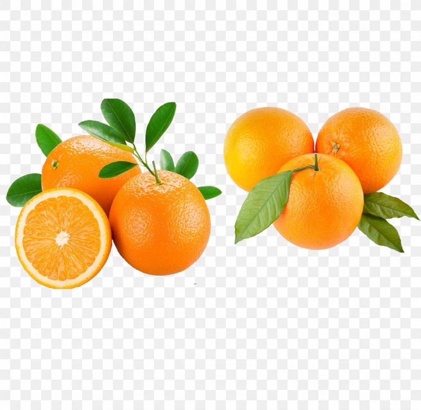 Orange Juice Fruit Anti-aging Cream, PNG, 1024x998px, Orange Juice, Antiaging Cream, Bitter Orange, Citric Acid, Citrus Download Free